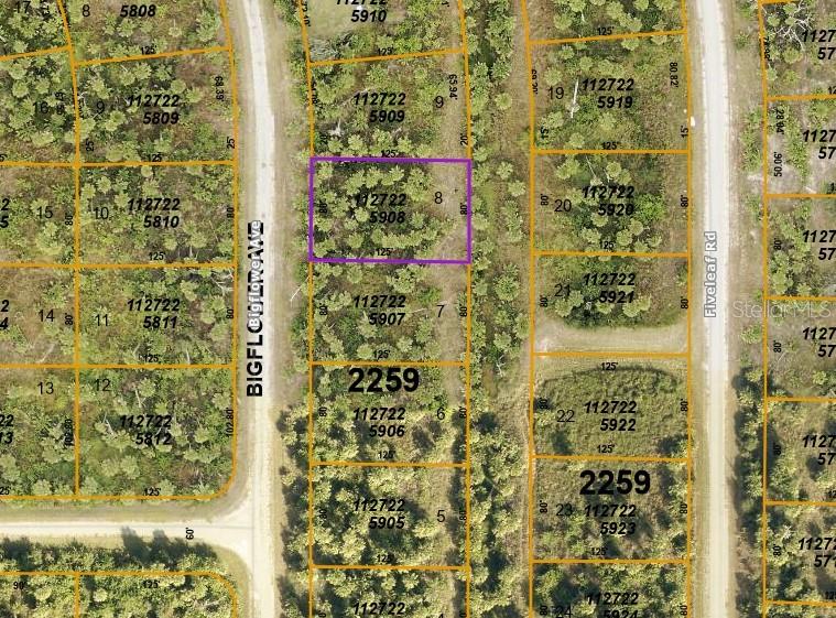 Listing Details for Big Flower Avenue, NORTH PORT, FL 34288