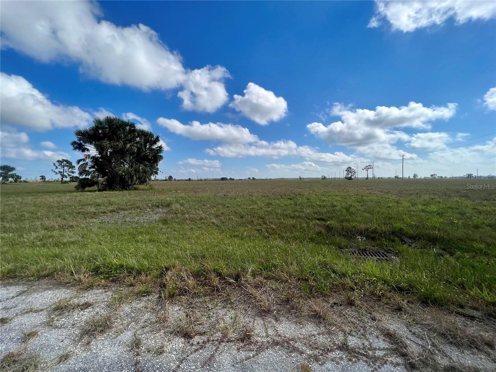 Details for 2 Calamondin Way, PLACIDA, FL 33946