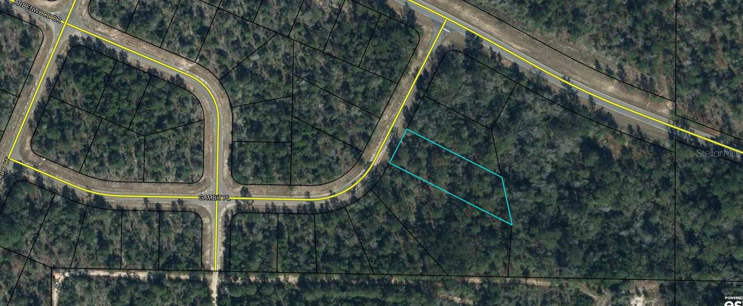 Listing Details for 0 Gambit Place, CHIPLEY, FL 32428