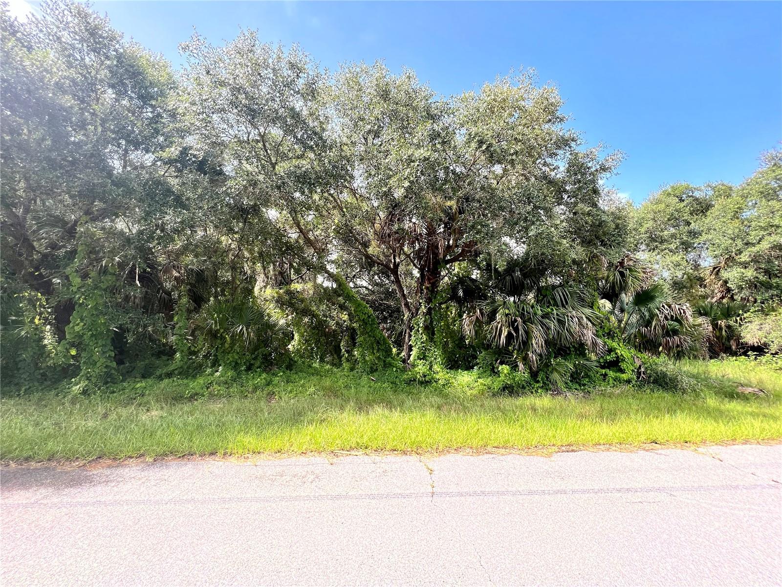 Details for 19136 Ruskin Avenue, PORT CHARLOTTE, FL 33954
