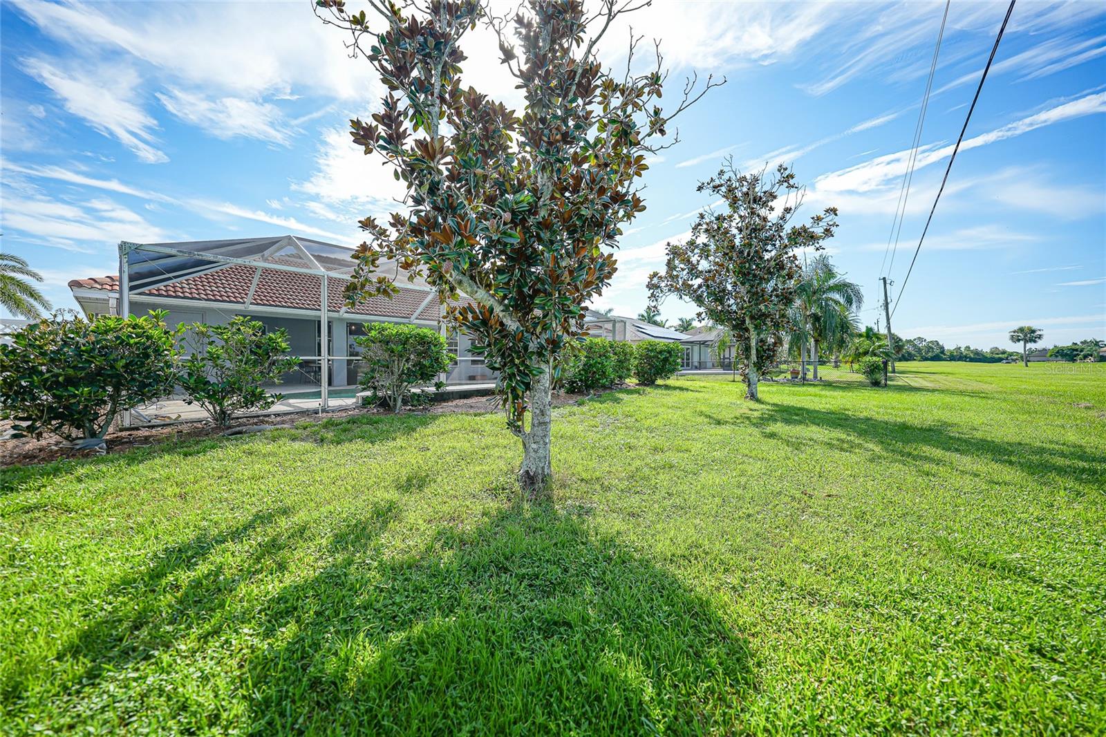 Image 23 of 27 For 7307 Plum Tree