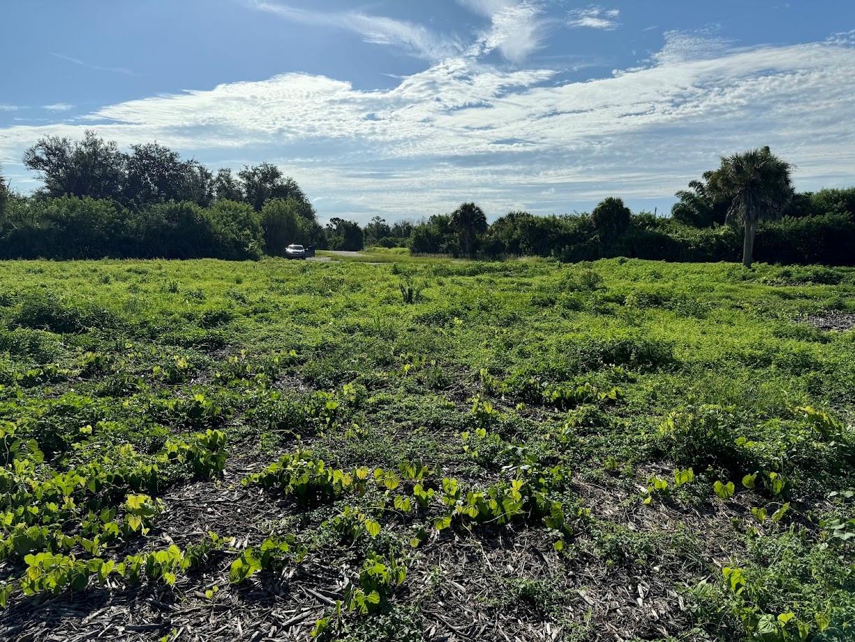 Image 6 of 7 For 7609 Rubin Court