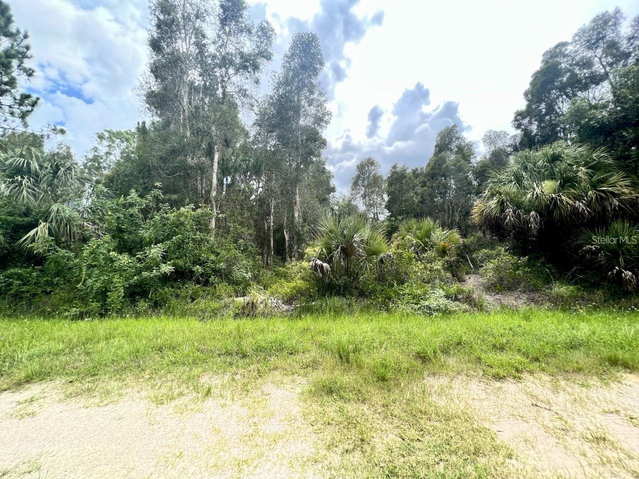 Details for 12593 Gucci Drive, PUNTA GORDA, FL 33955