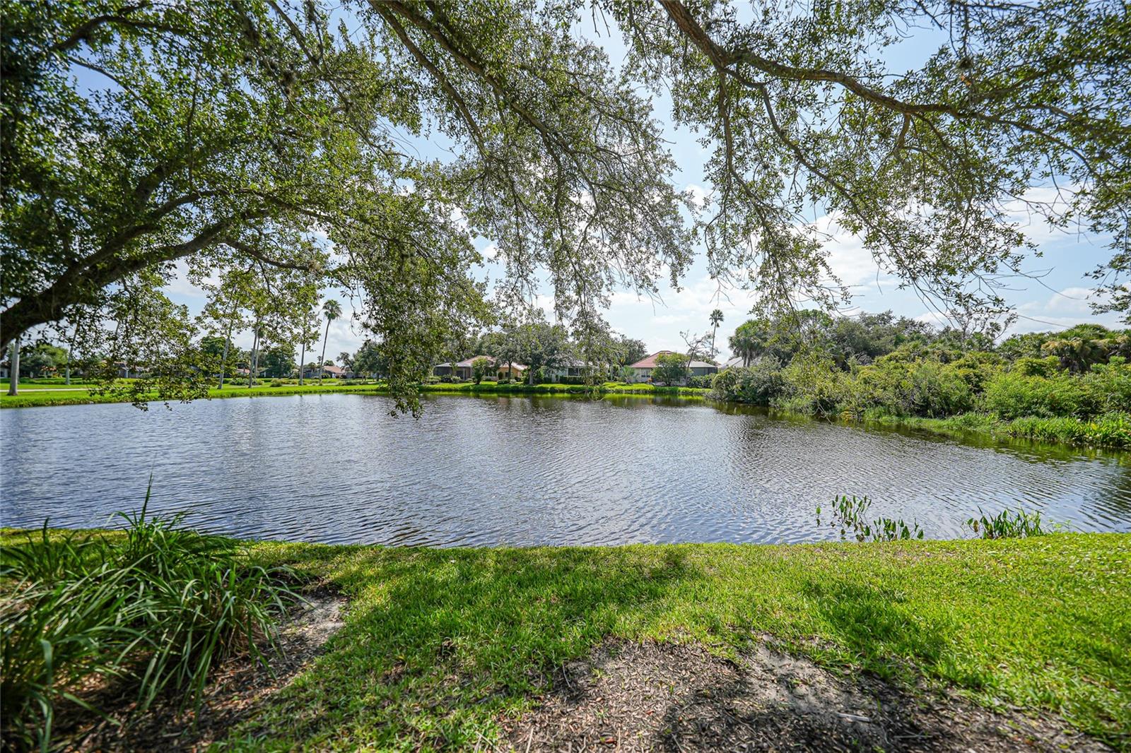 Image 36 of 91 For 3332 Grand Vista Court 101