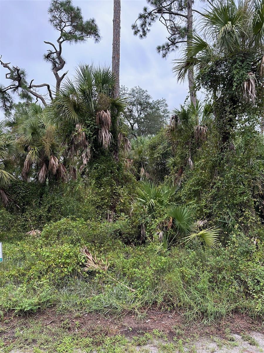Details for 82 Statler Street, PORT CHARLOTTE, FL 33954