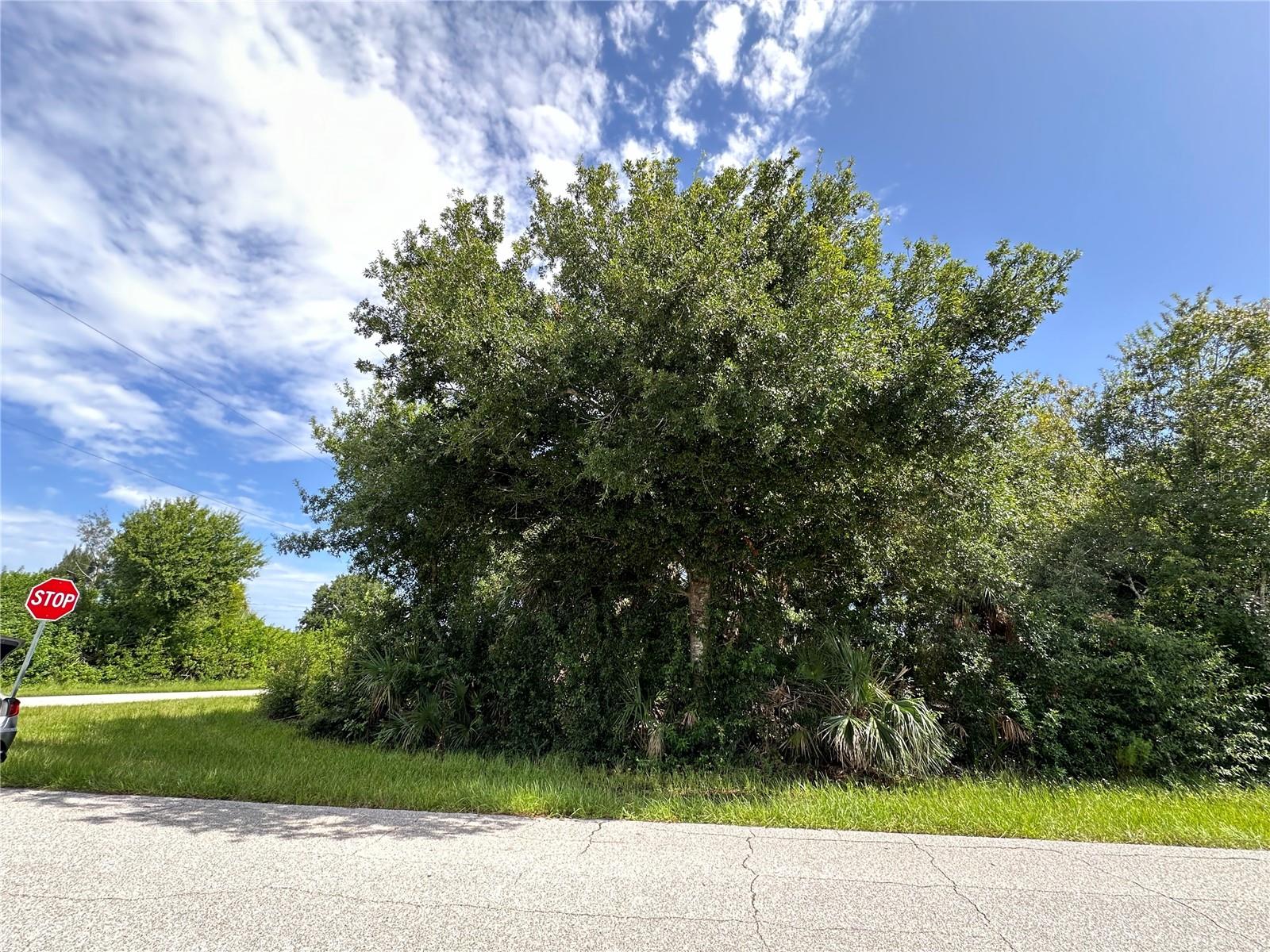 Details for 12088 Henley Avenue, PORT CHARLOTTE, FL 33981