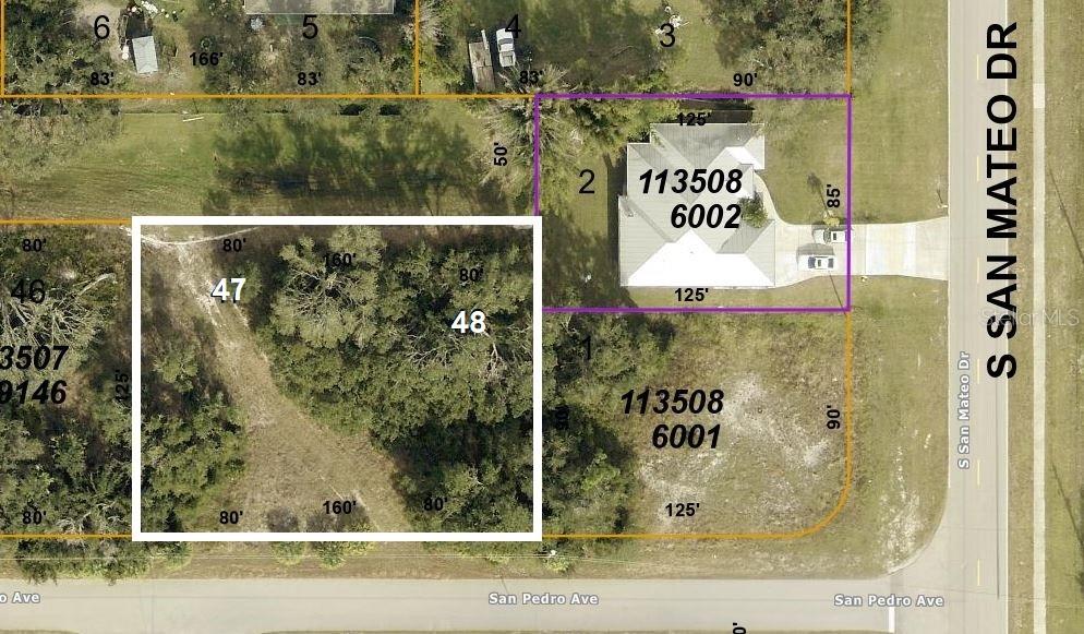 Details for Lots 47 & 48 San Pedro Avenue, NORTH PORT, FL 34288