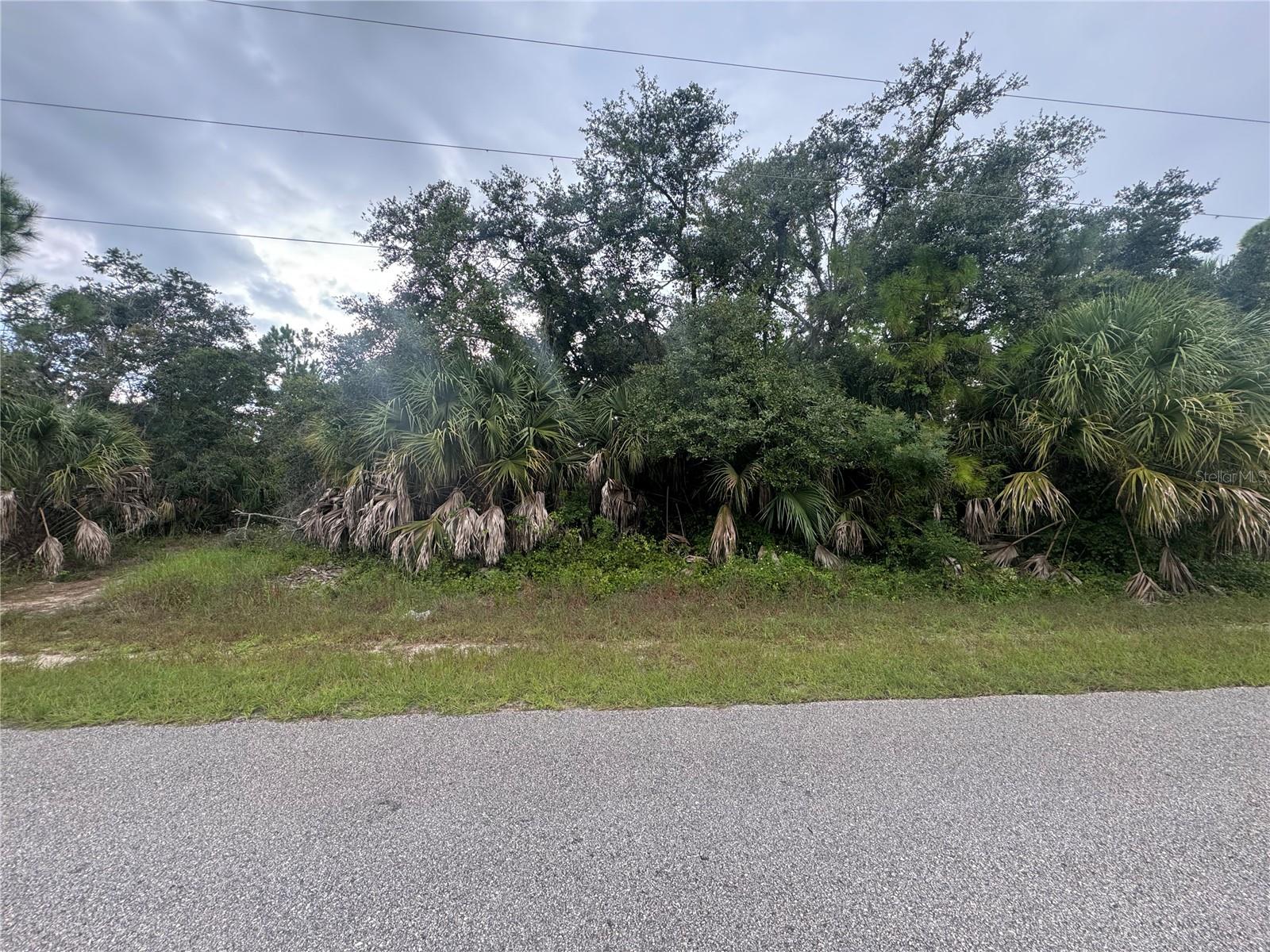 Listing Details for Basket Street, NORTH PORT, FL 34288
