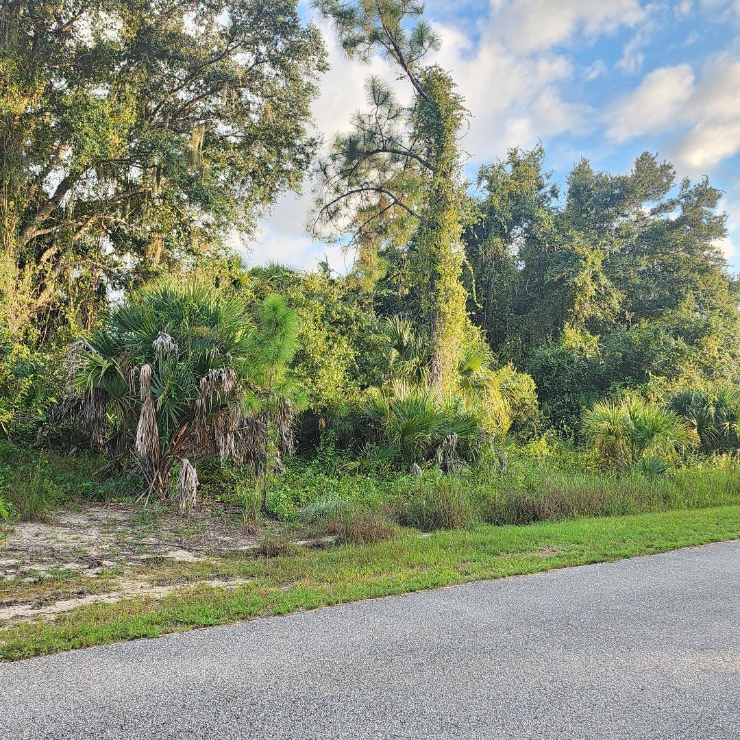 Details for Lot# 2 Mattox Circle, NORTH PORT, FL 34288