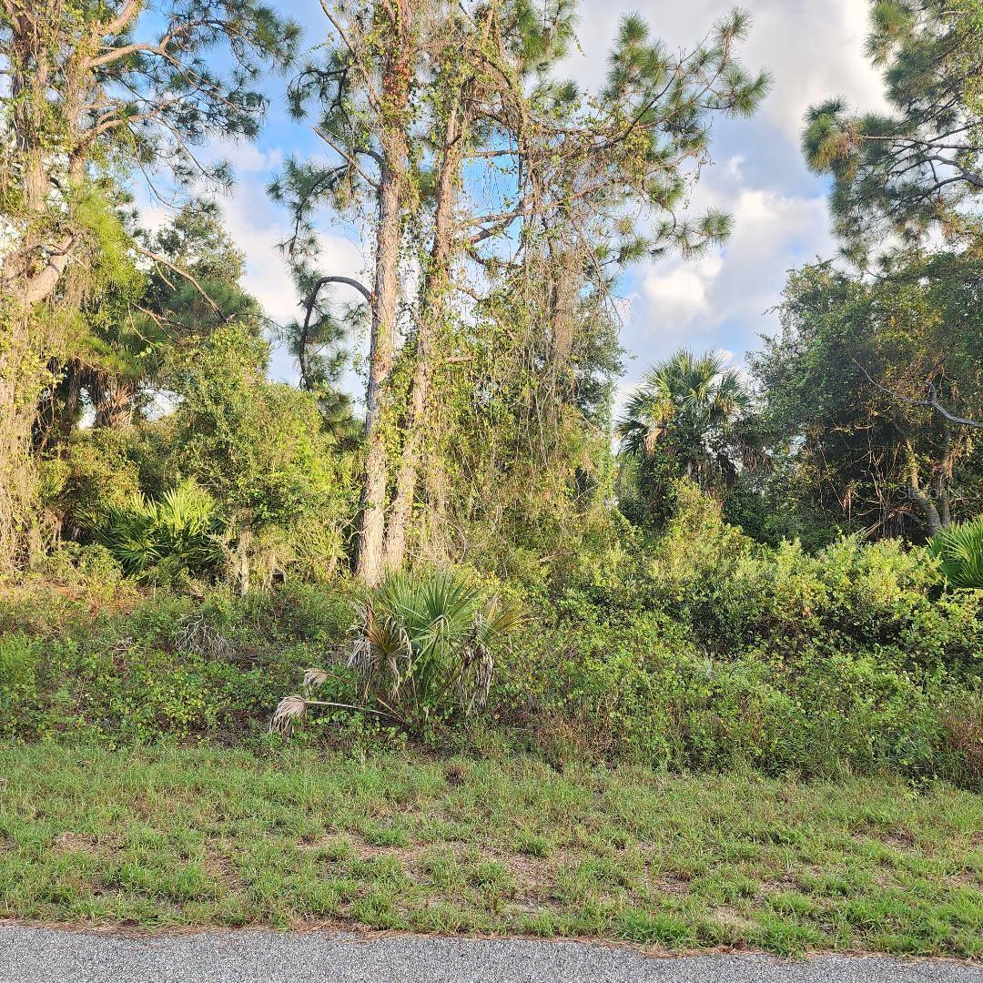 Details for Lot# 4 Mattox Circle, NORTH PORT, FL 34288