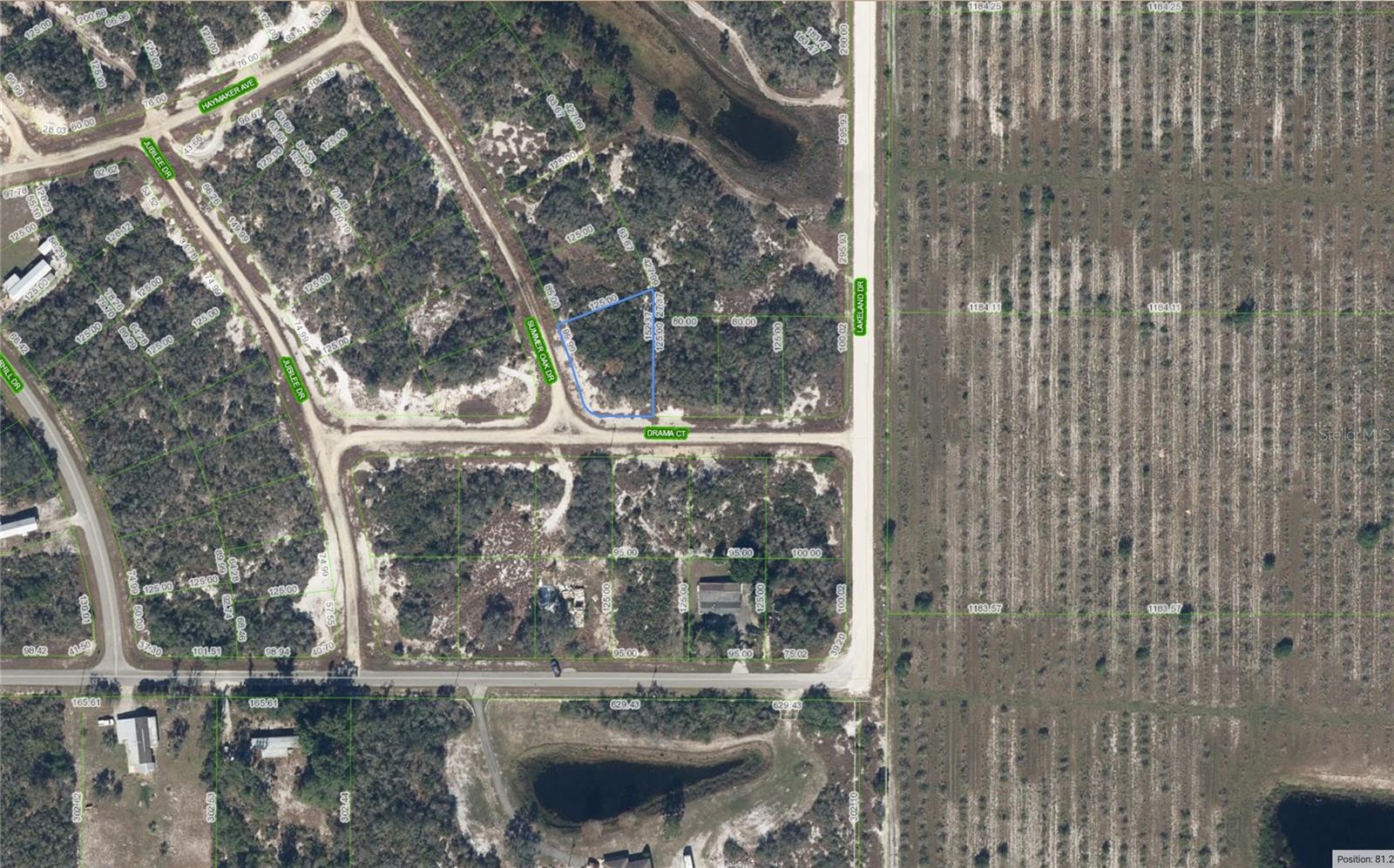 Listing Details for 111 Summer Oak Drive, LAKE PLACID, FL 33852