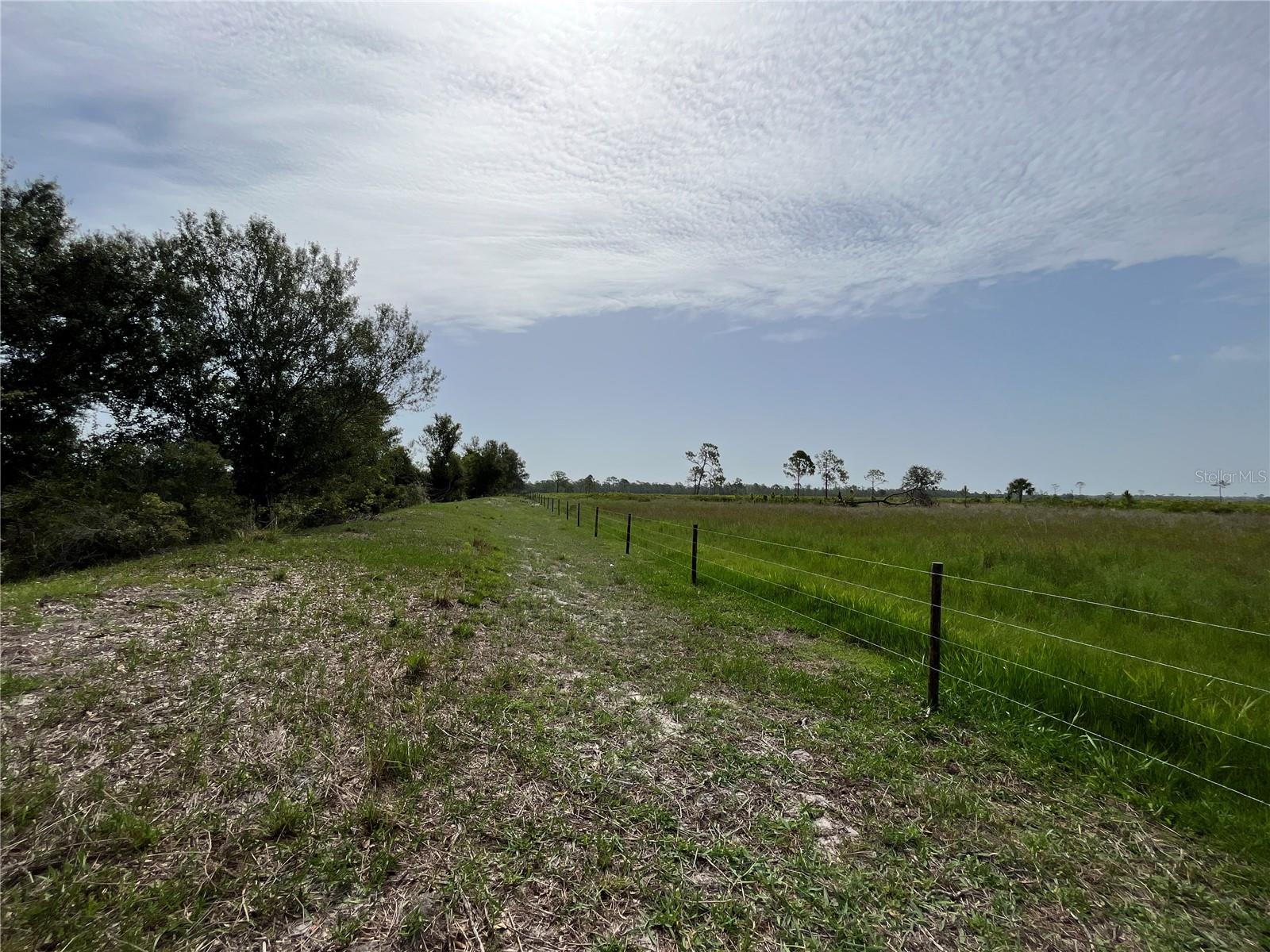 Image 18 of 28 For 16425 Coker Gully Road