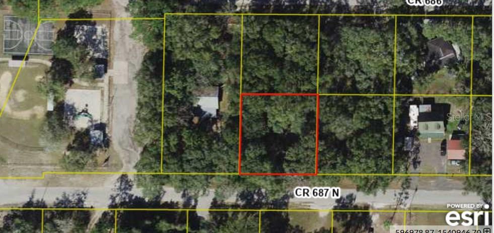 Listing Details for Lot #8 Cr 687 N, WEBSTER, FL 33597