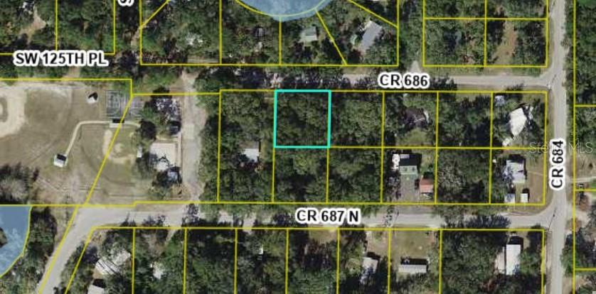 Listing Details for Lot #5 Cr 687 N, WEBSTER, FL 33597