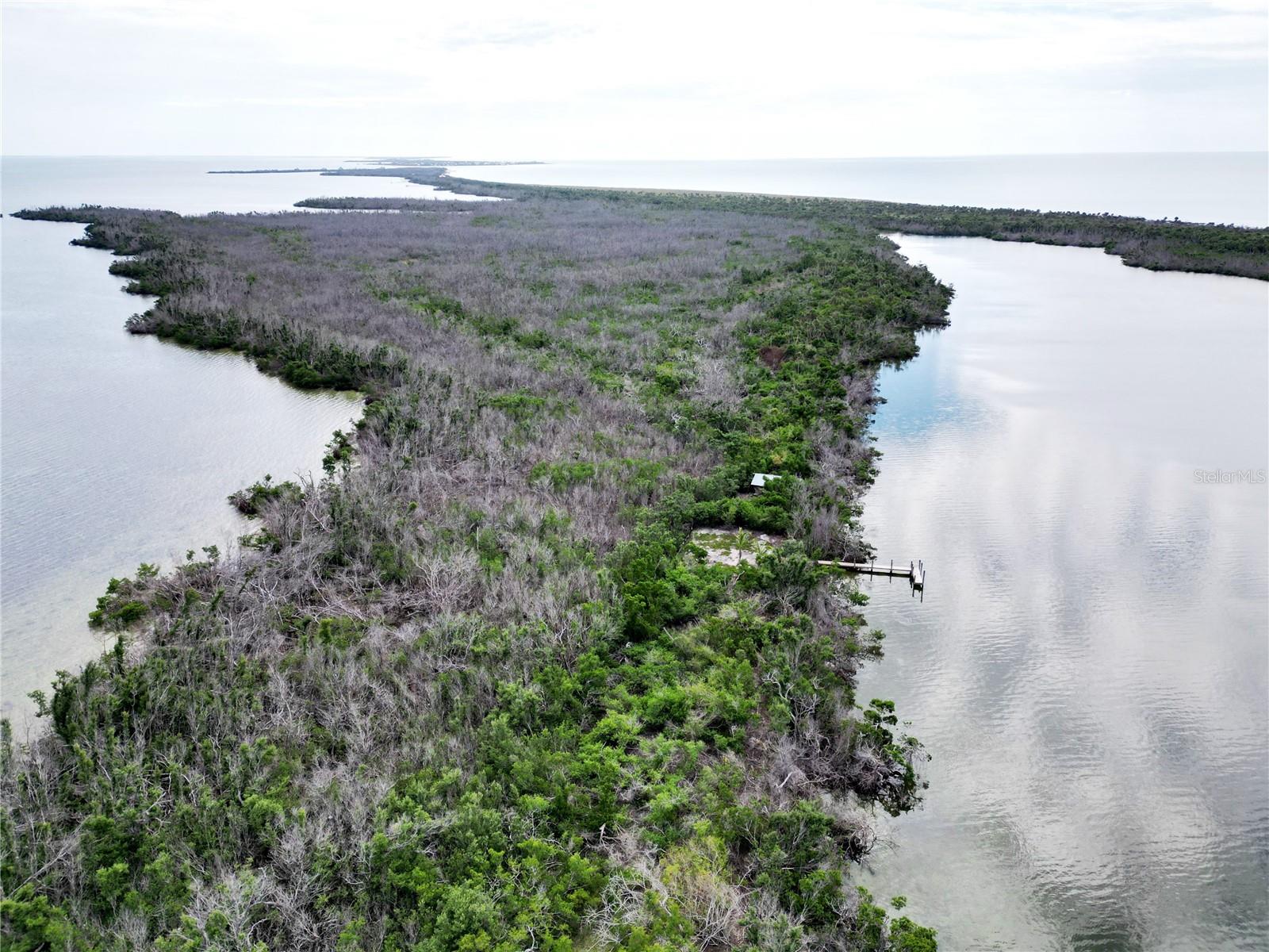 Image 36 of 37 For 14039 Murdock Bayou