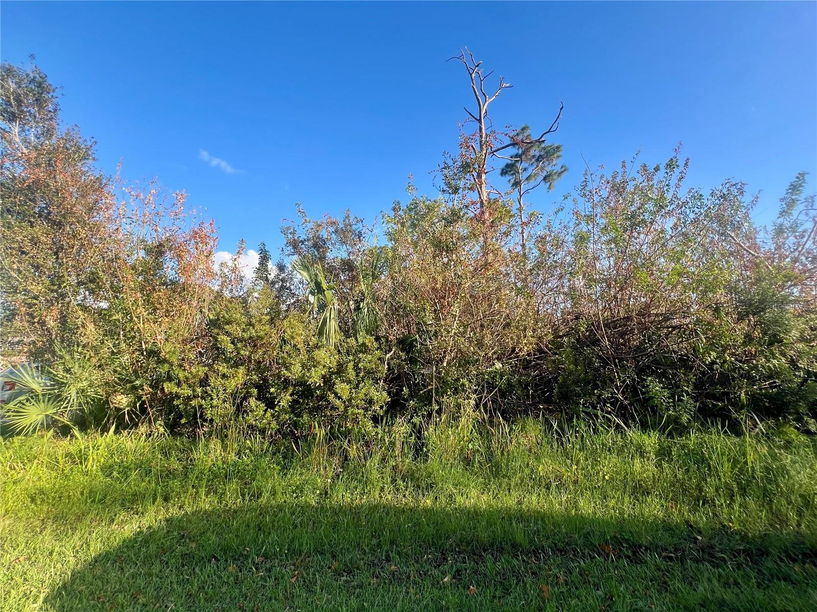Details for 5186 Venus Terrace, PORT CHARLOTTE, FL 33981