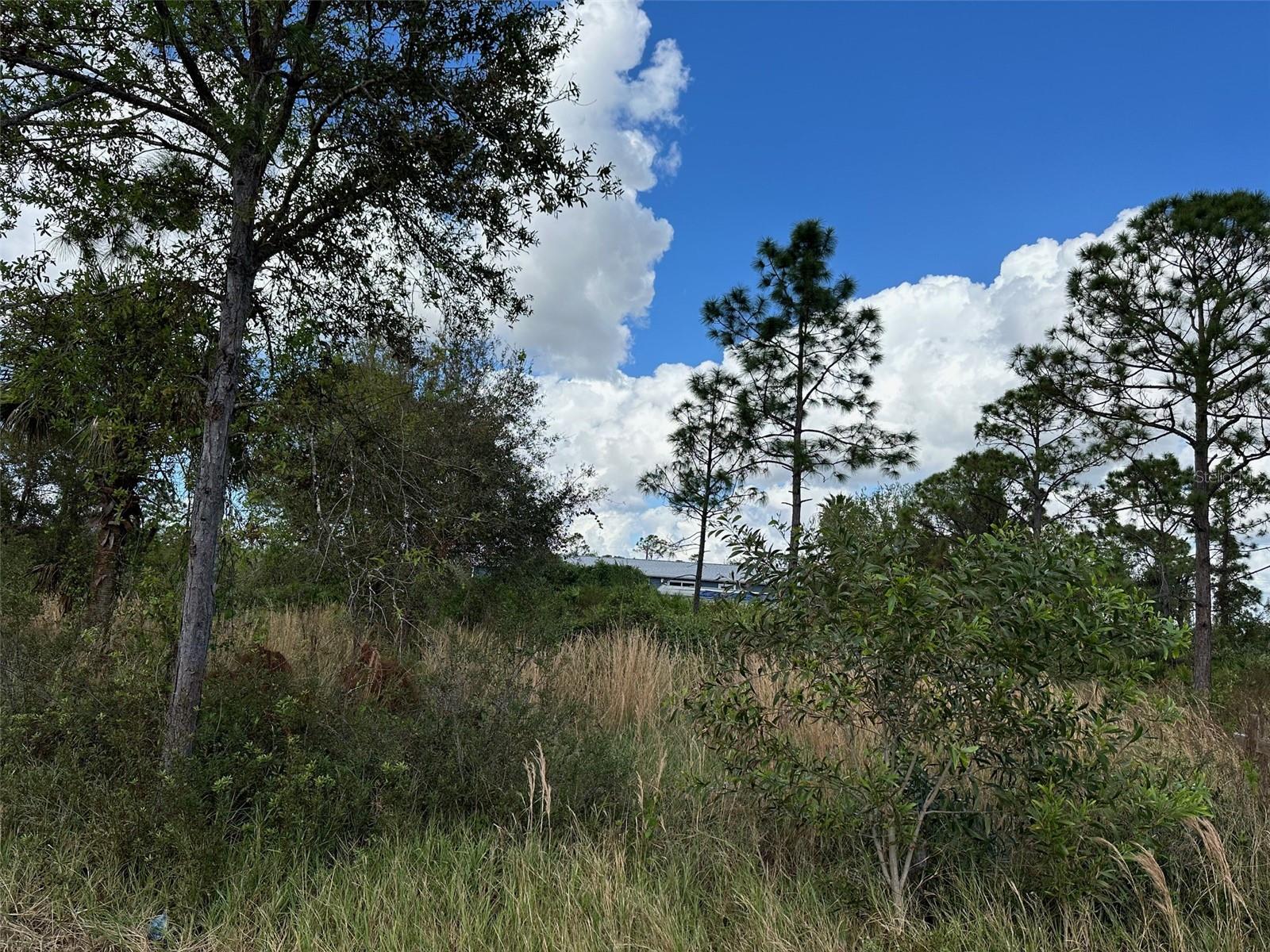 Image 2 of 6 For 12069 & 12073 Borax Avenue