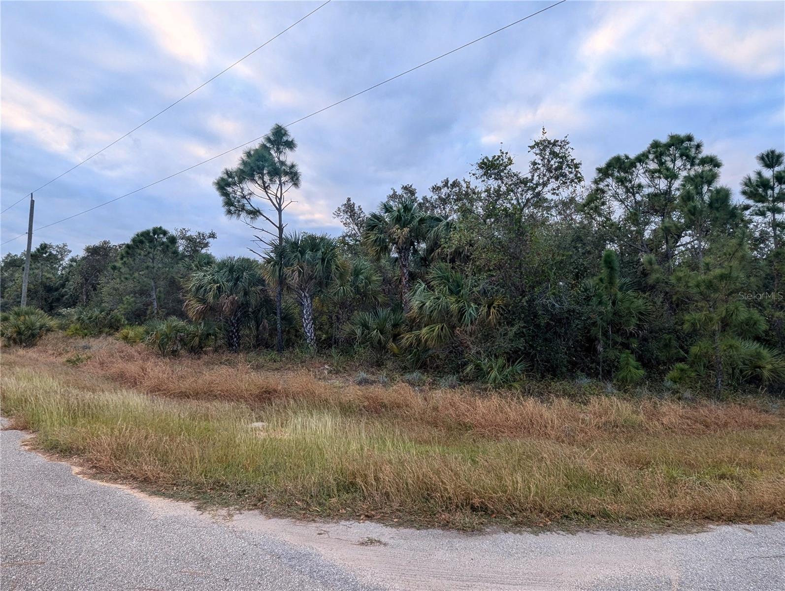 Details for Lot 11 Mattox Circle, NORTH PORT, FL 34288