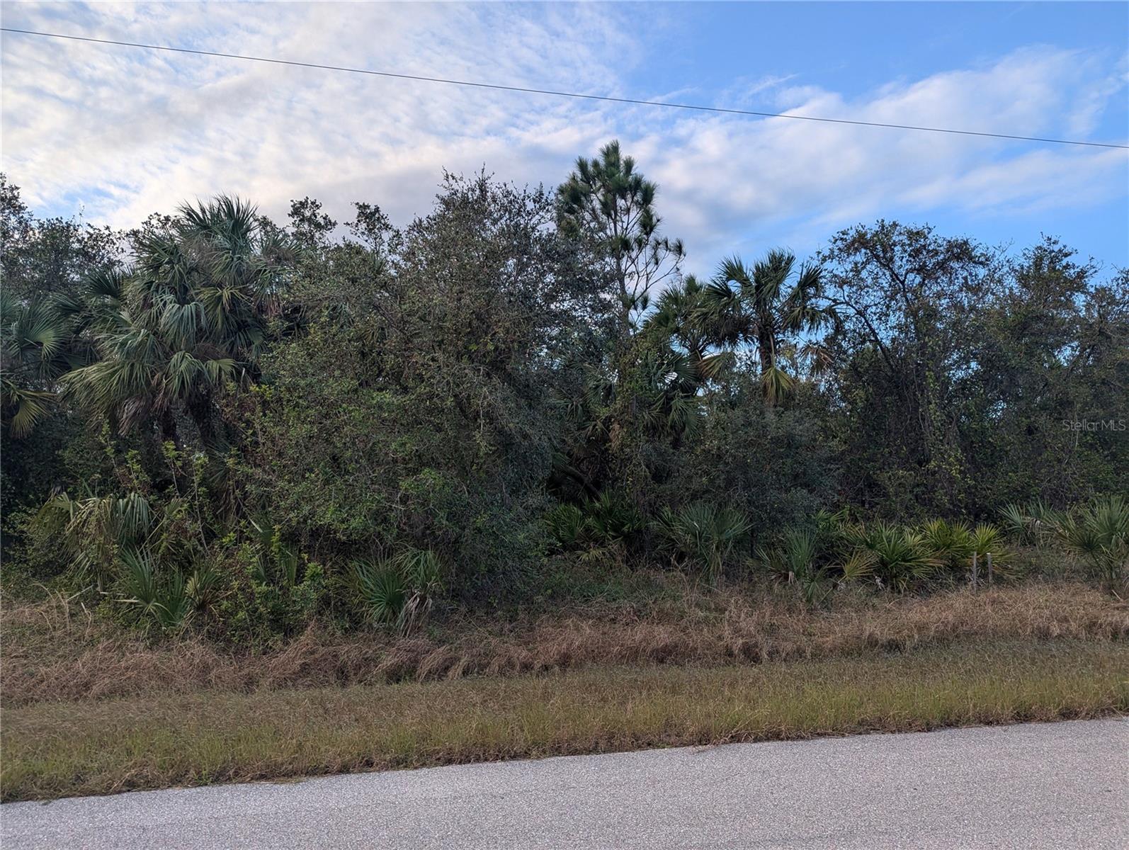 Image 5 of 7 For Lot 12 Mattox Circle
