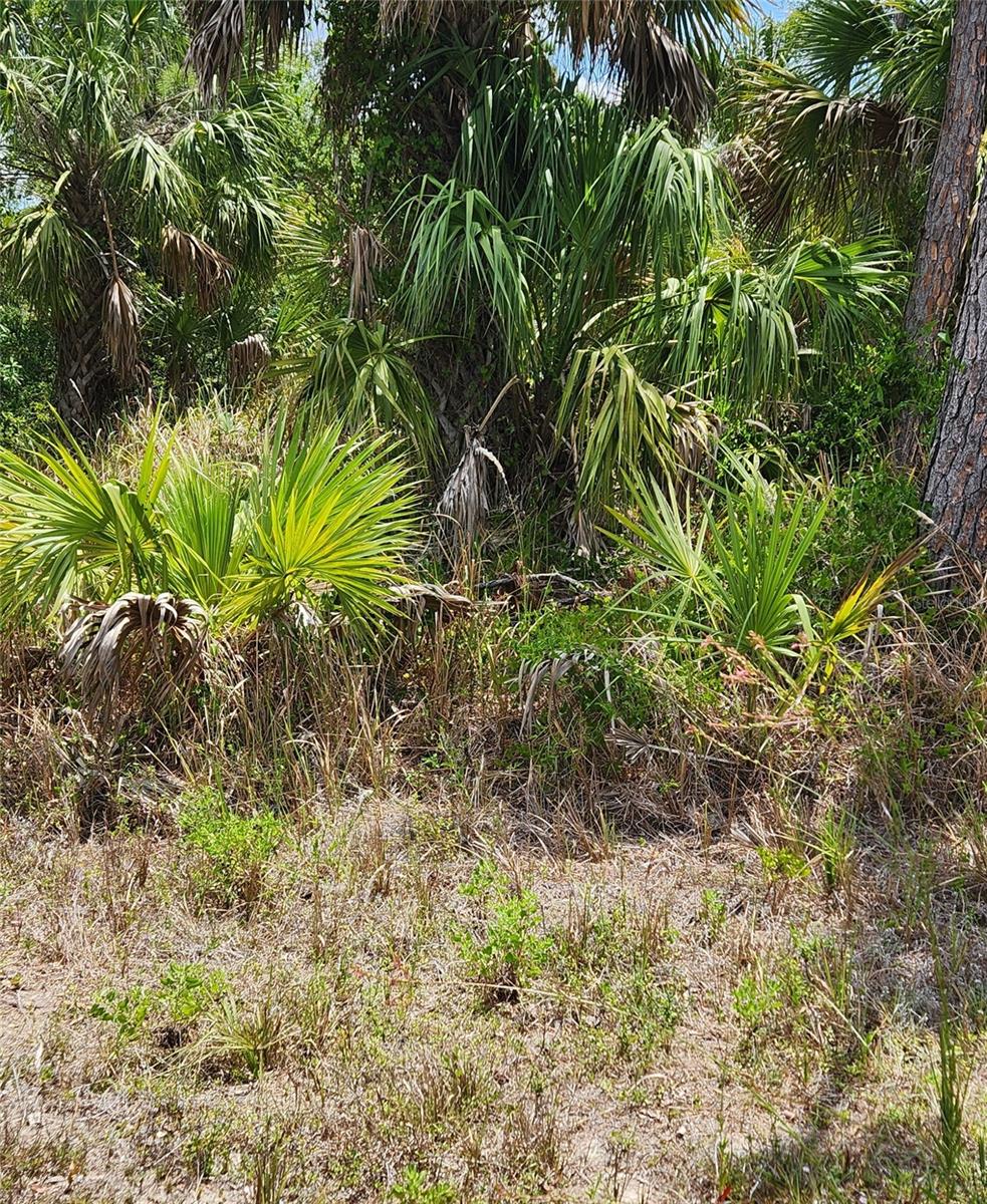 Image 2 of 3 For Inverness Street