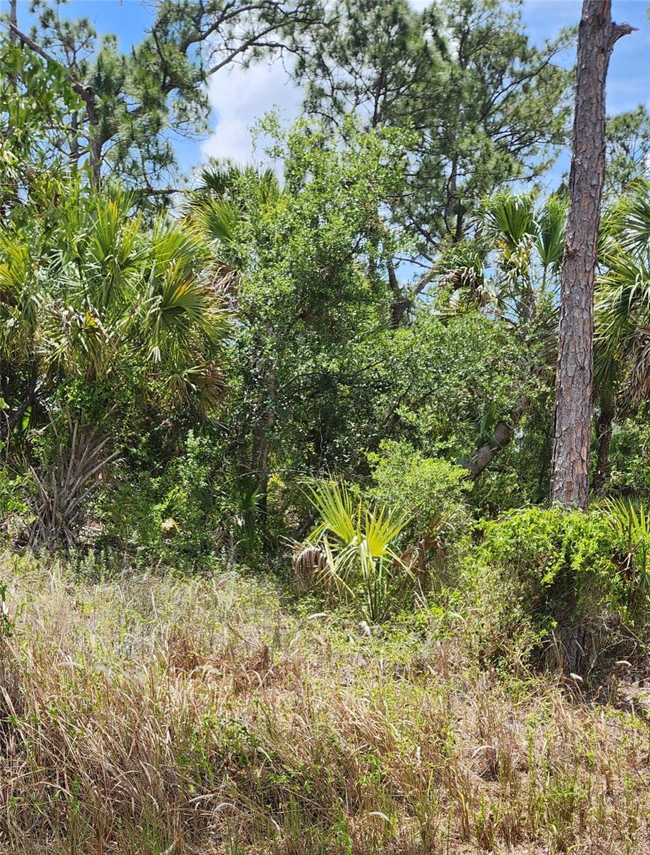 Image 3 of 3 For Inverness Street