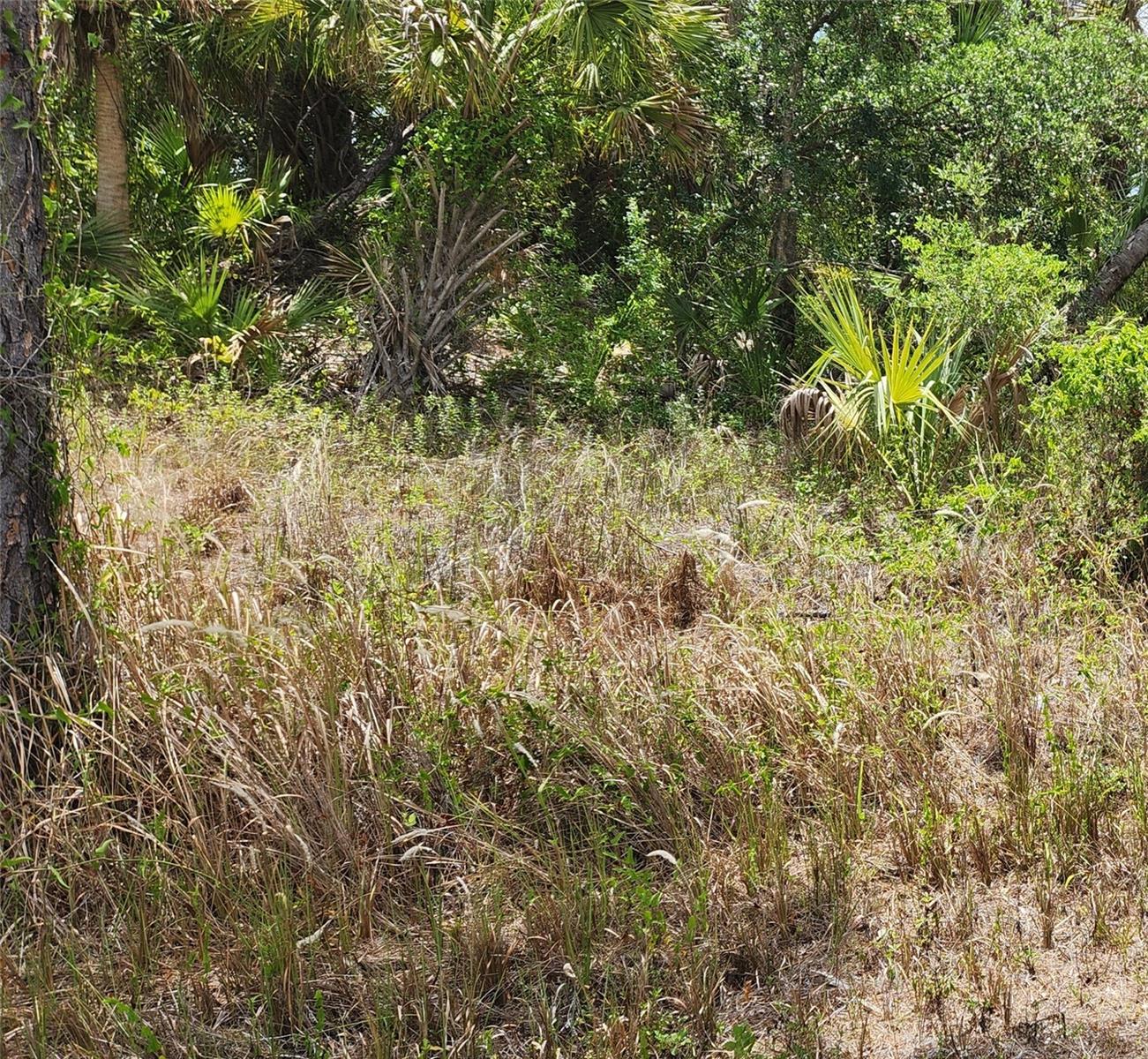 Image 2 of 3 For Inverness Street