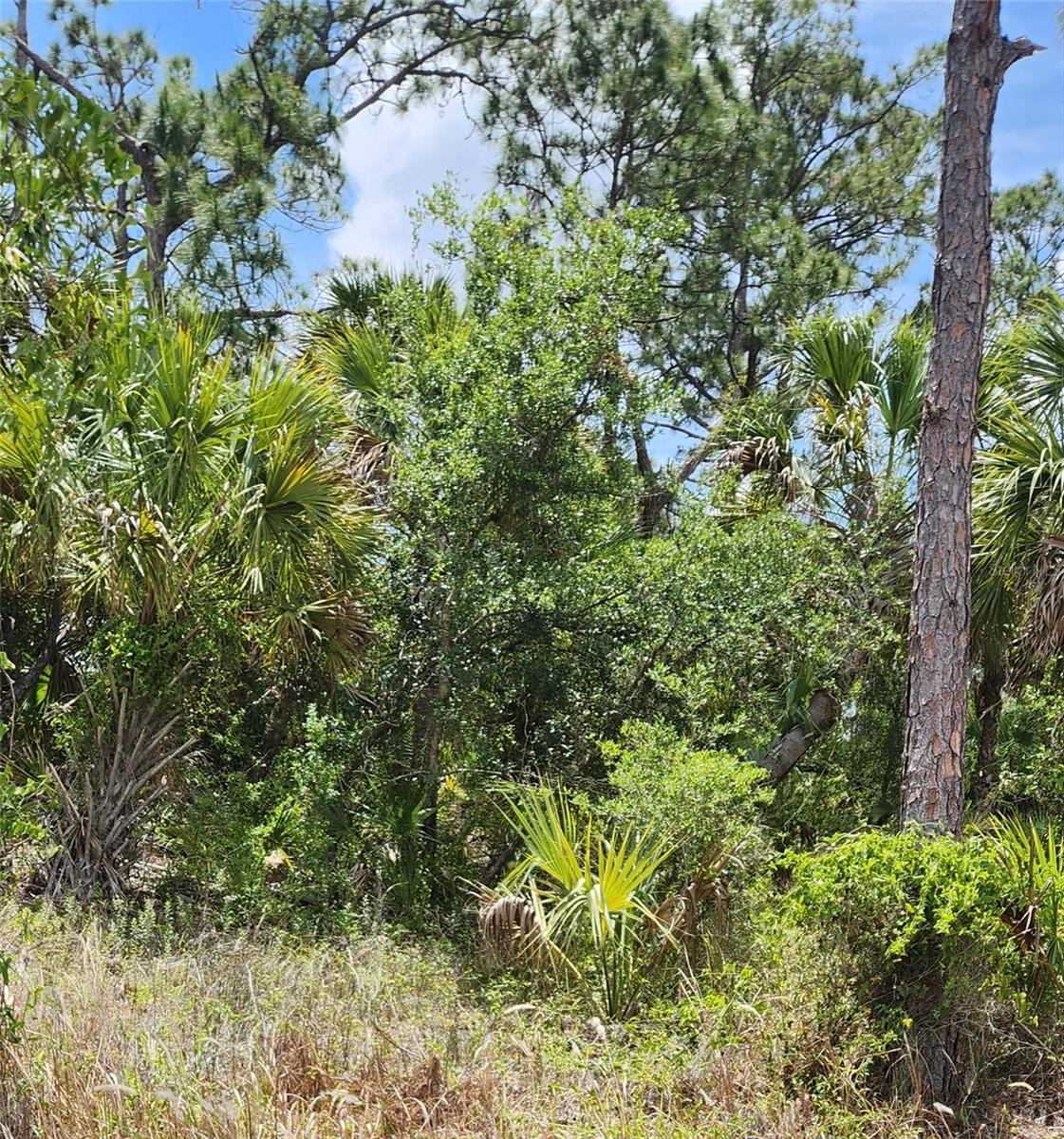 Image 3 of 3 For Inverness Street