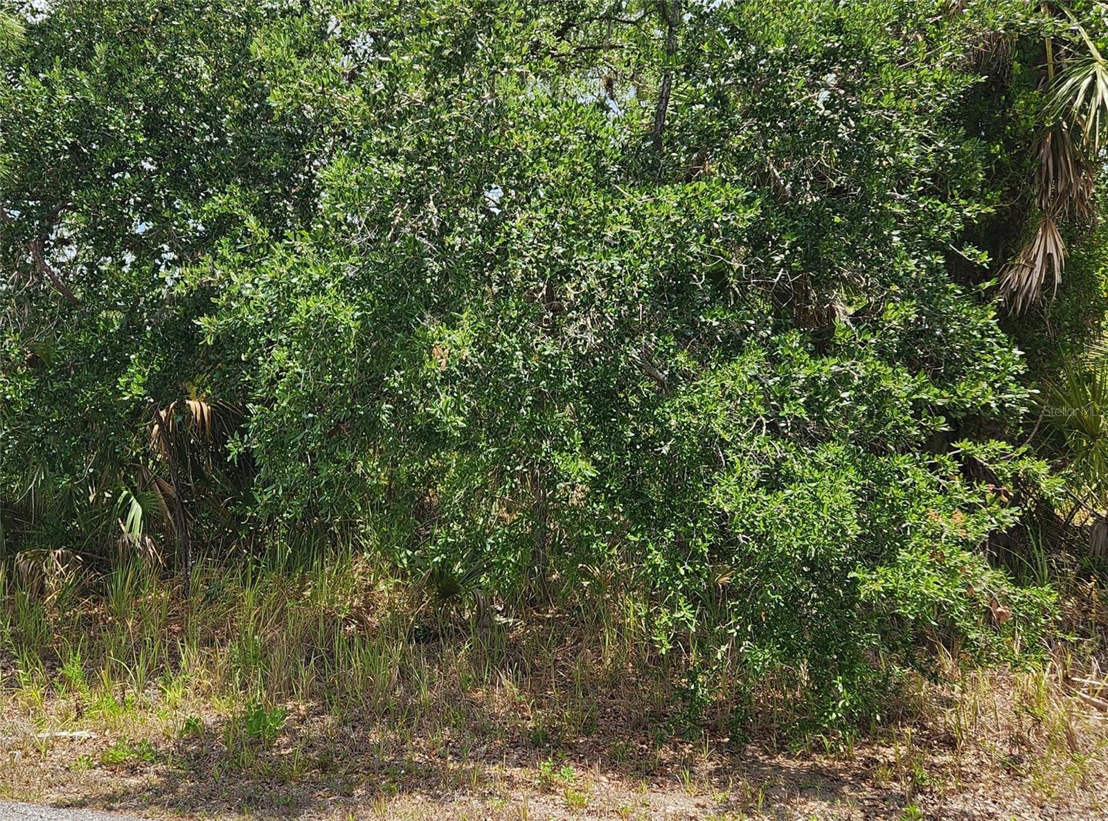 Image 3 of 4 For Inverness Street