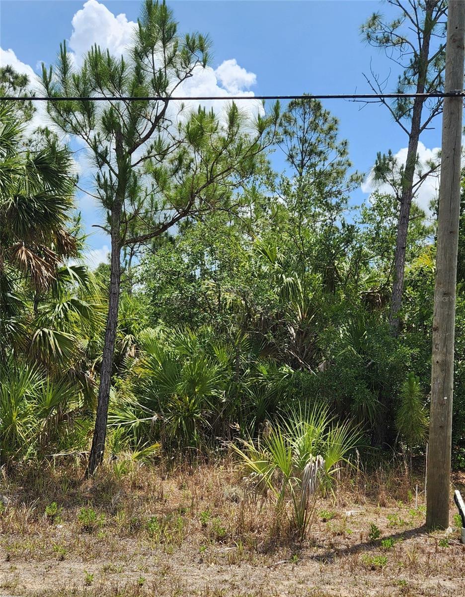 Image 4 of 4 For Inverness Street