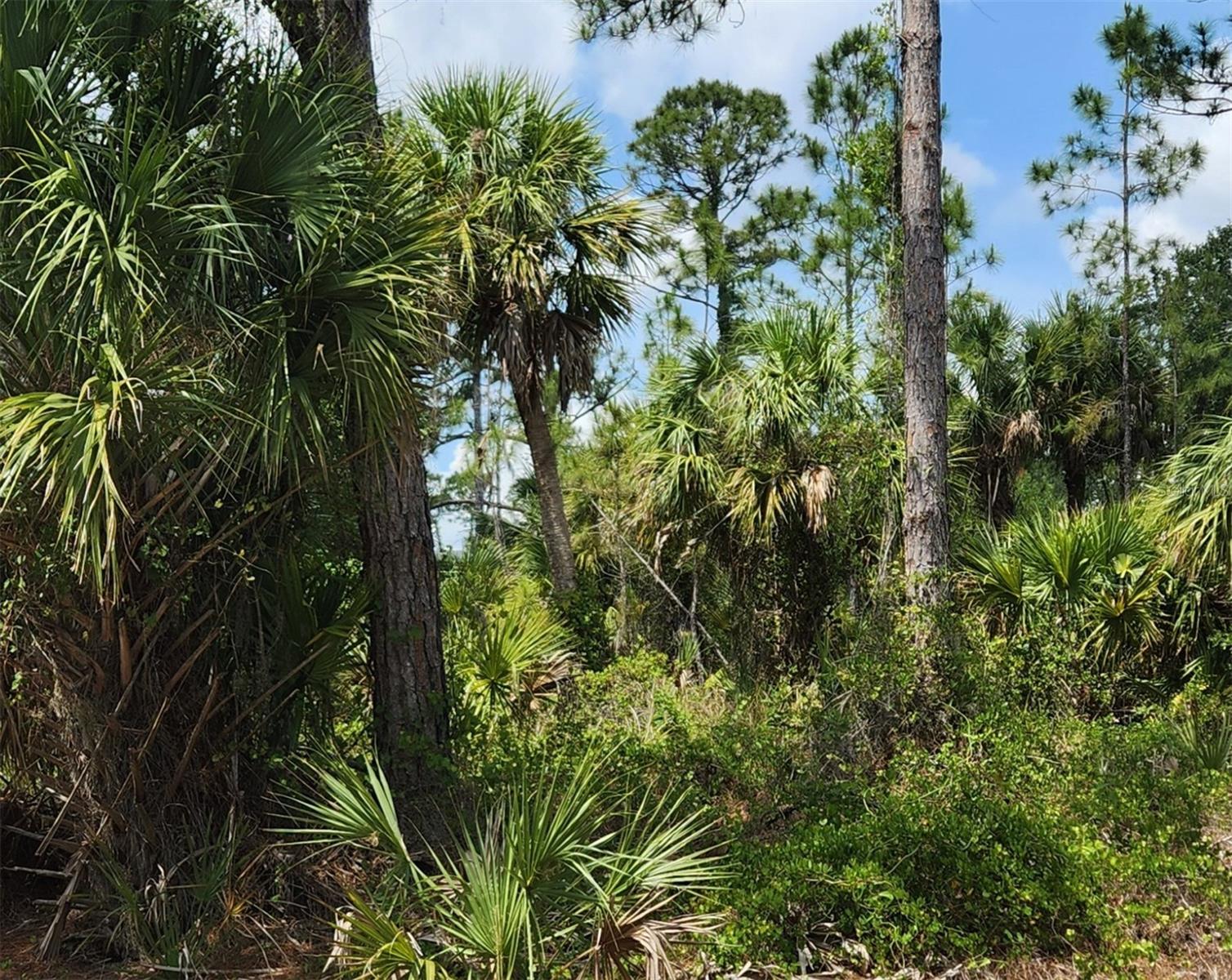 Image 2 of 3 For Basket Street