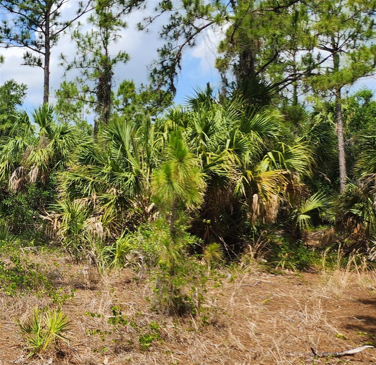 Image 3 of 3 For Basket Street