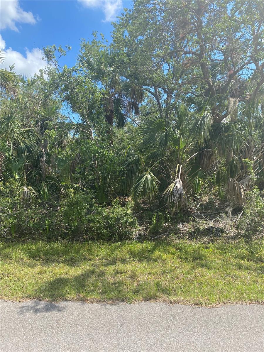 Listing Details for 27319 Chinquapin Drive, PUNTA GORDA, FL 33955