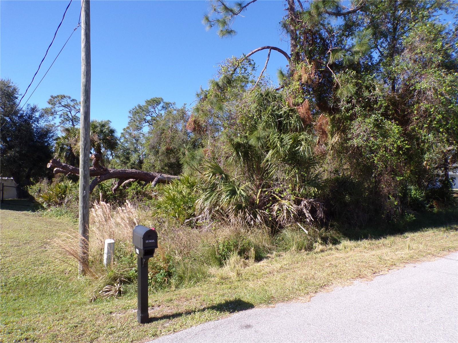 Image 9 of 13 For  Nora Lane 