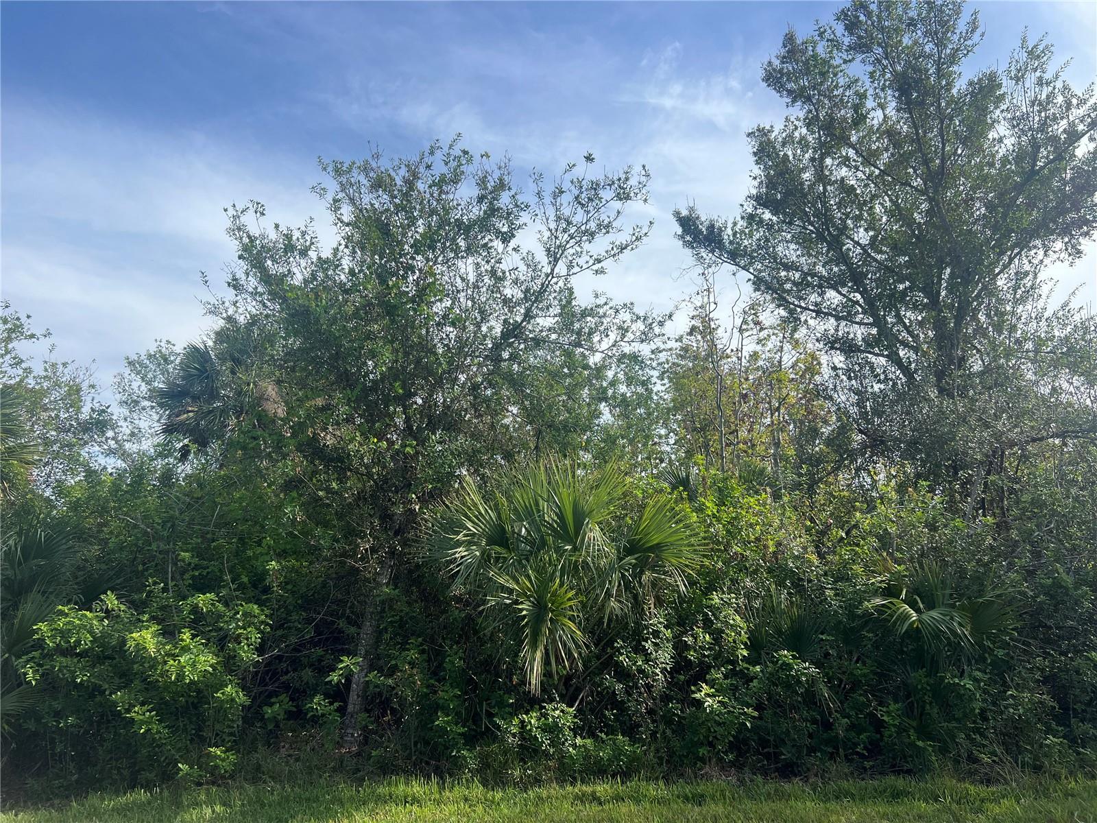 Image 3 of 3 For 7168 Lippman Road