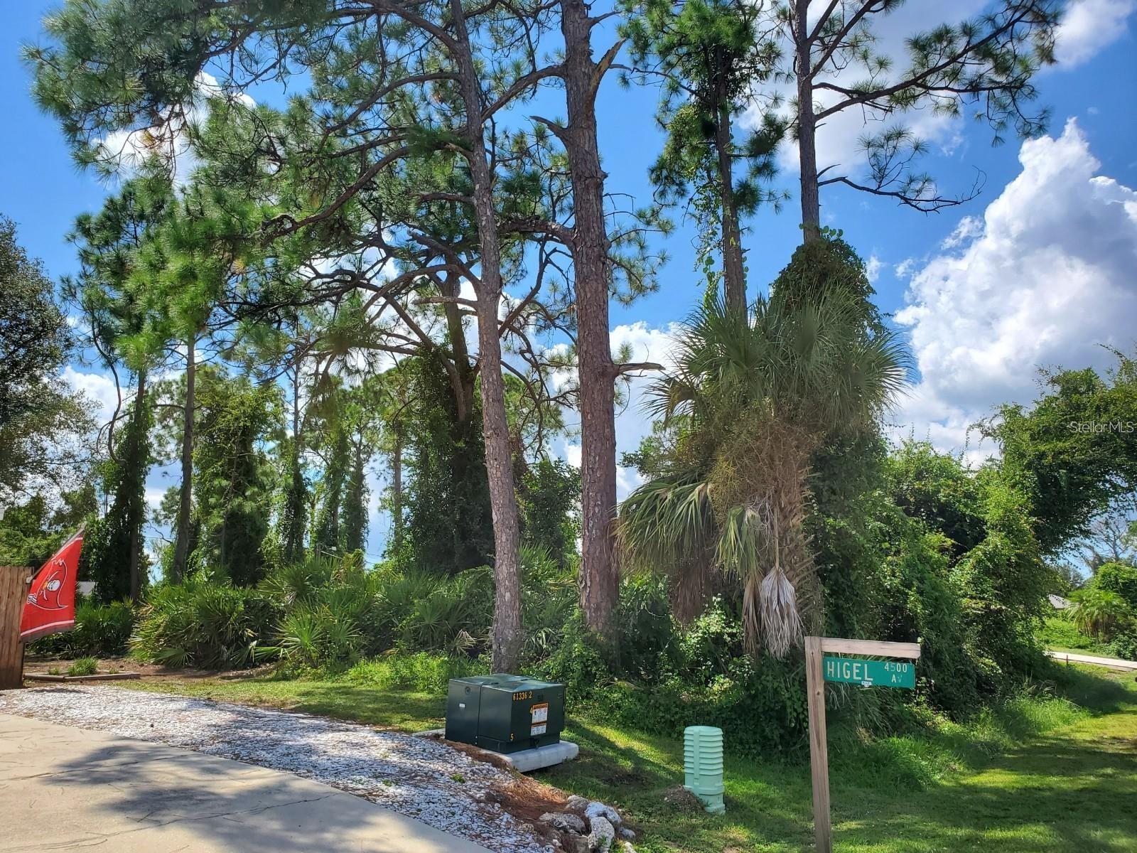 Image 5 of 12 For Slayton Avenue