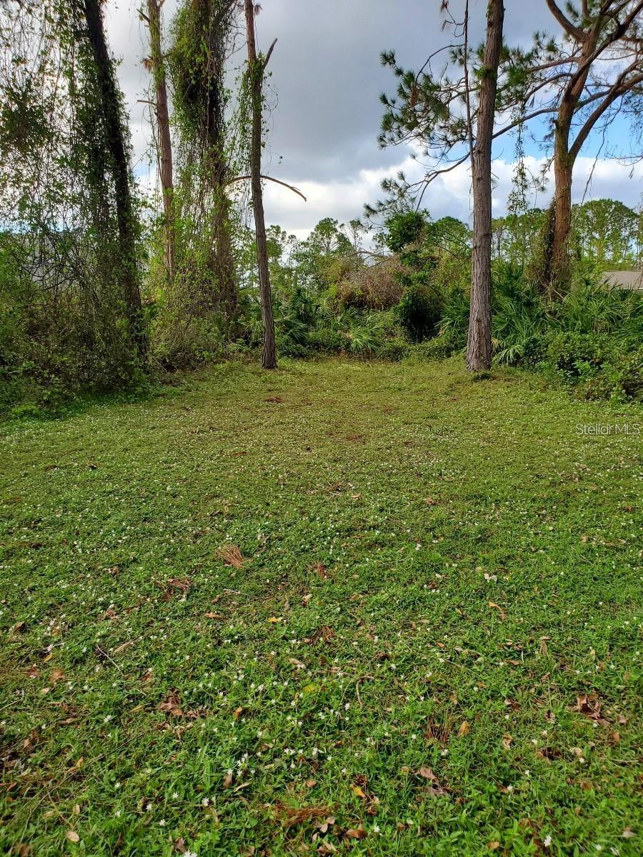 Image 6 of 12 For Slayton Avenue