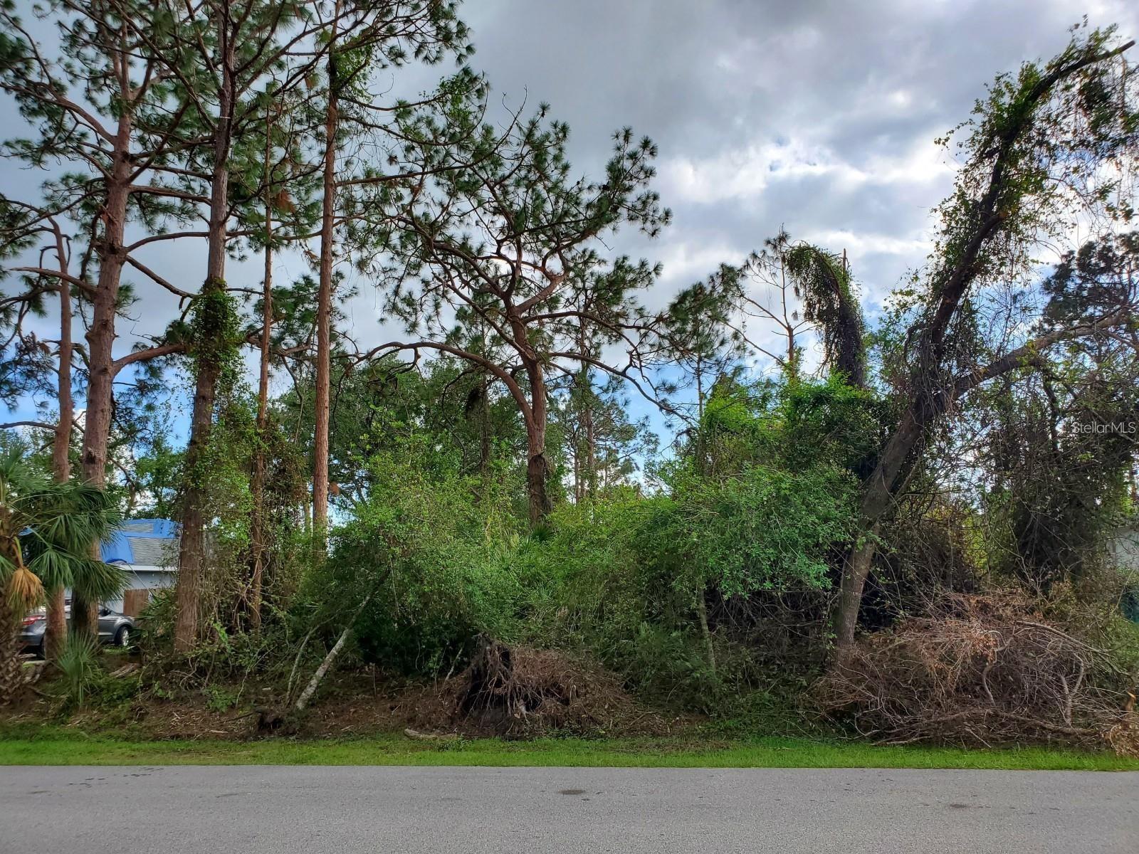 Image 7 of 12 For Slayton Avenue