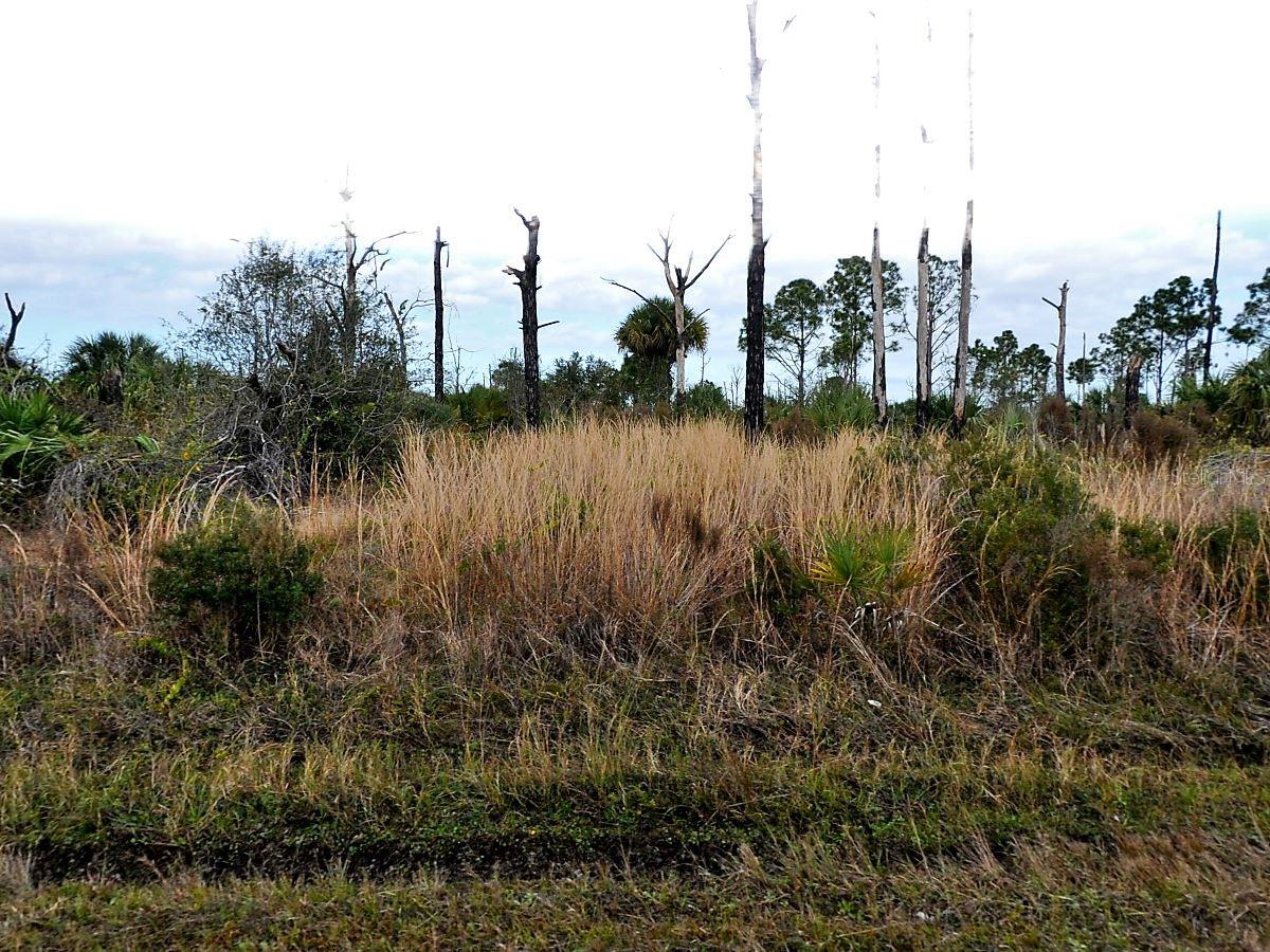 Details for Lot 17 Ewen Circle, NORTH PORT, FL 34288