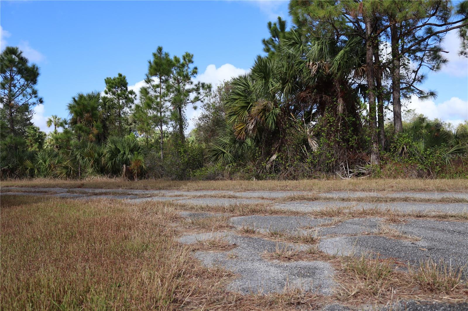 Image 10 of 11 For Patriot Circle