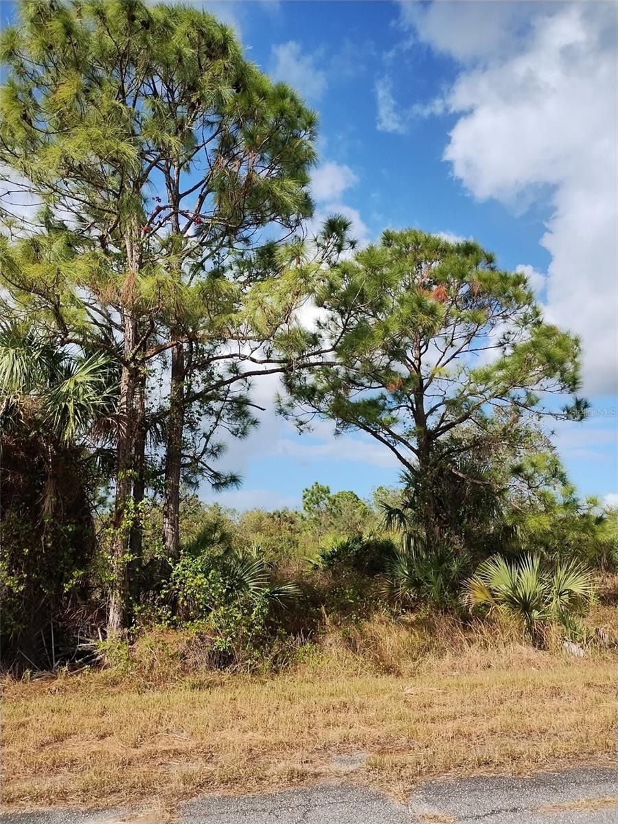 Image 3 of 11 For Patriot Circle