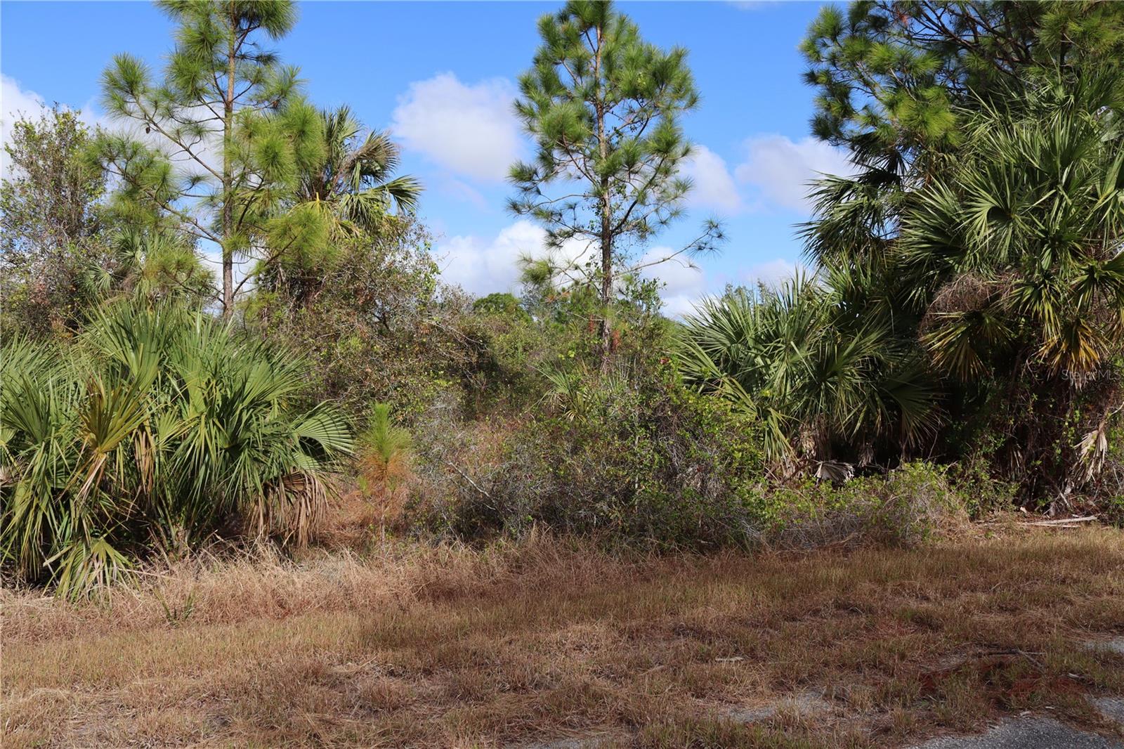 Image 4 of 11 For Patriot Circle