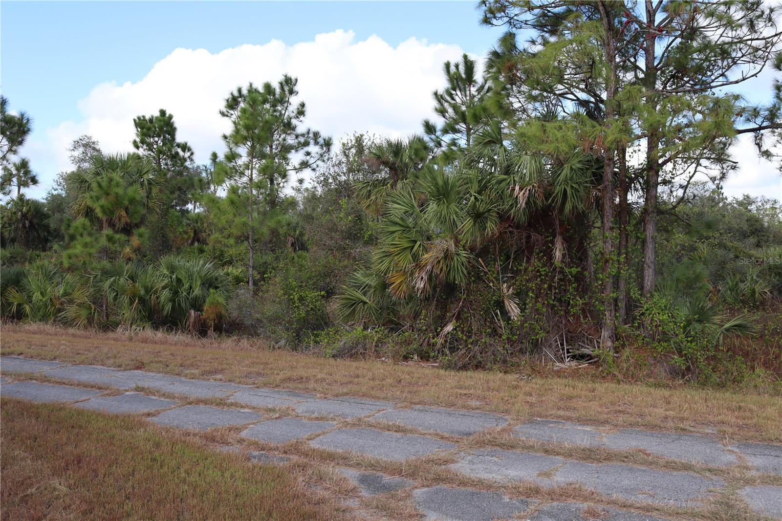 Image 6 of 11 For Patriot Circle