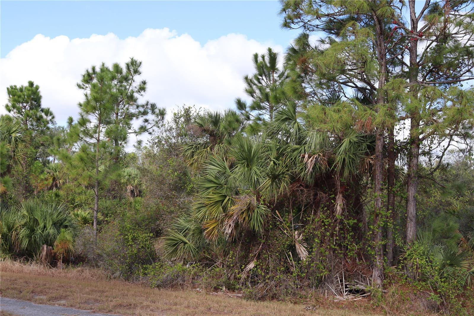 Image 7 of 11 For Patriot Circle