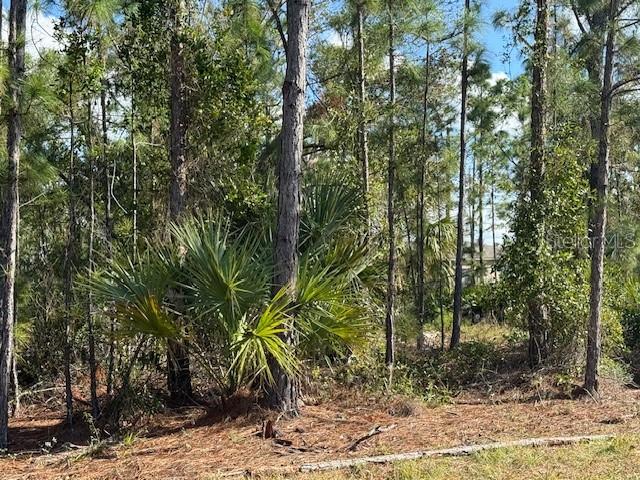 Image 2 of 4 For 142 Algonquin Street