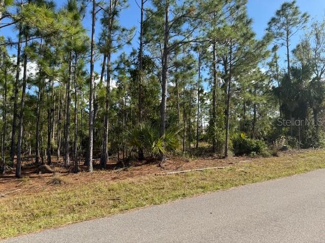 Image 3 of 4 For 142 Algonquin Street