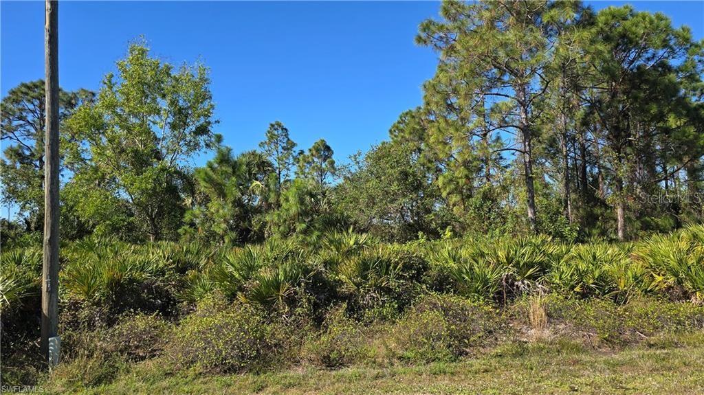 Image 18 of 22 For 12475 Green Gulf Boulevard