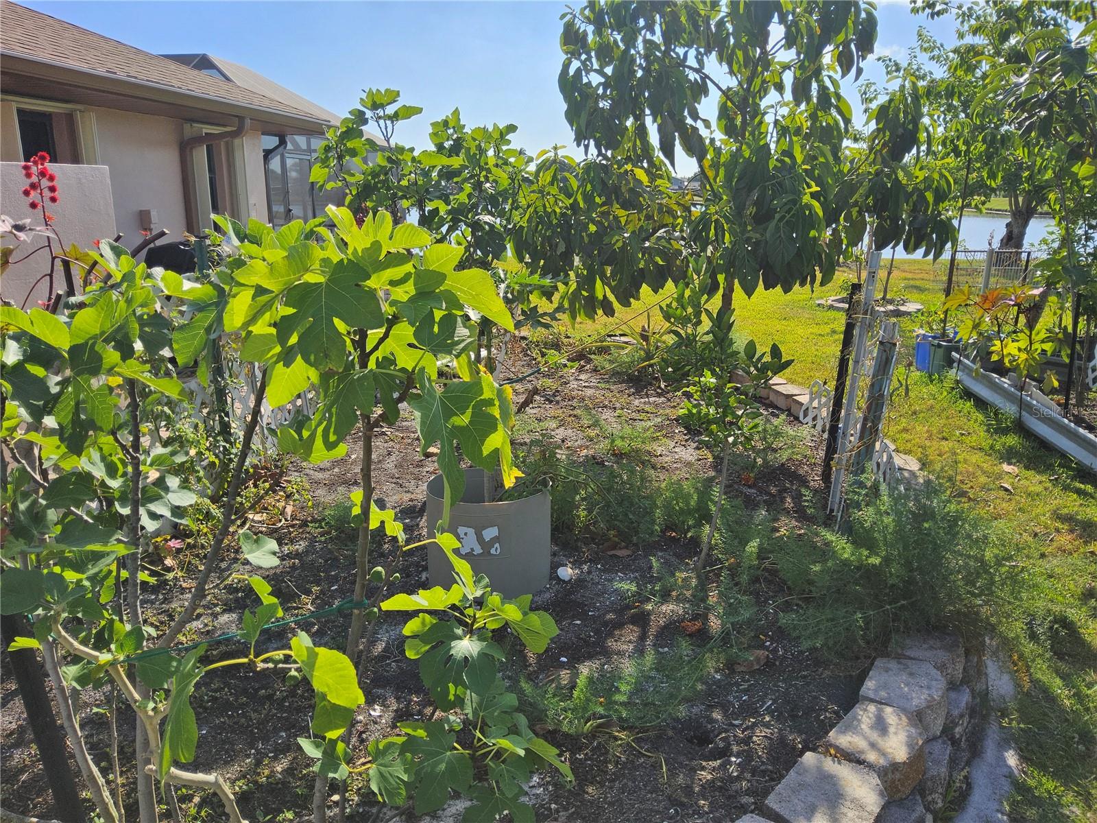 Image 34 of 62 For 2259 Kenya Lane