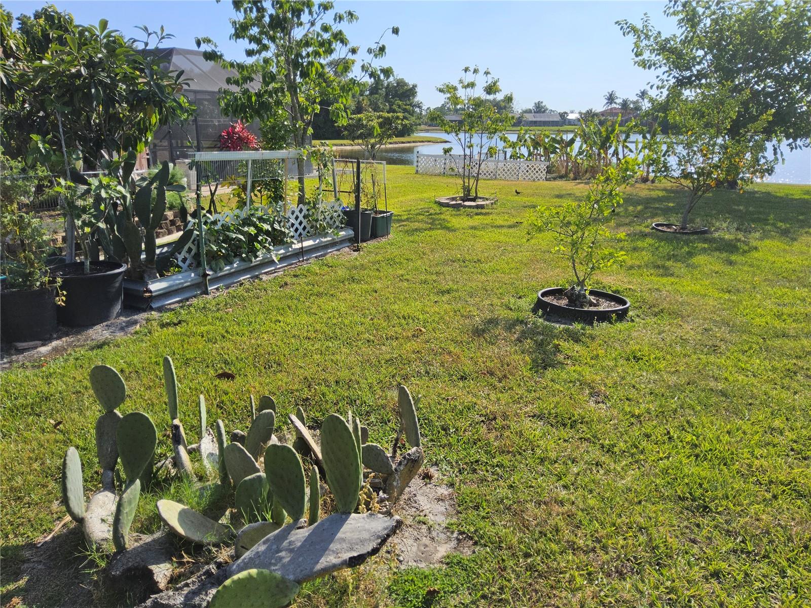 Image 35 of 62 For 2259 Kenya Lane