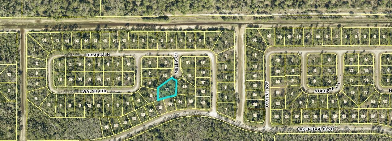 Listing Details for 2155 Melba Court, LEHIGH ACRES, FL 33972