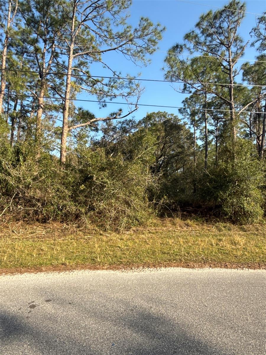 Listing Details for Burnside Street Lot 13, NORTH PORT, FL 34291